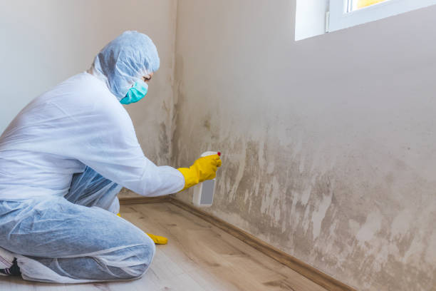 Mold Remediation specialist working in Atlantic
