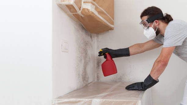 Basement Mold Remediation treatment on basement walls in Atlantic